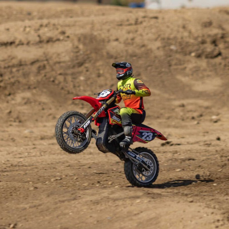 LOSI 1/4 PROMOTO-MX Moto RTR ROJOLOS06000T1 - Imagen 23